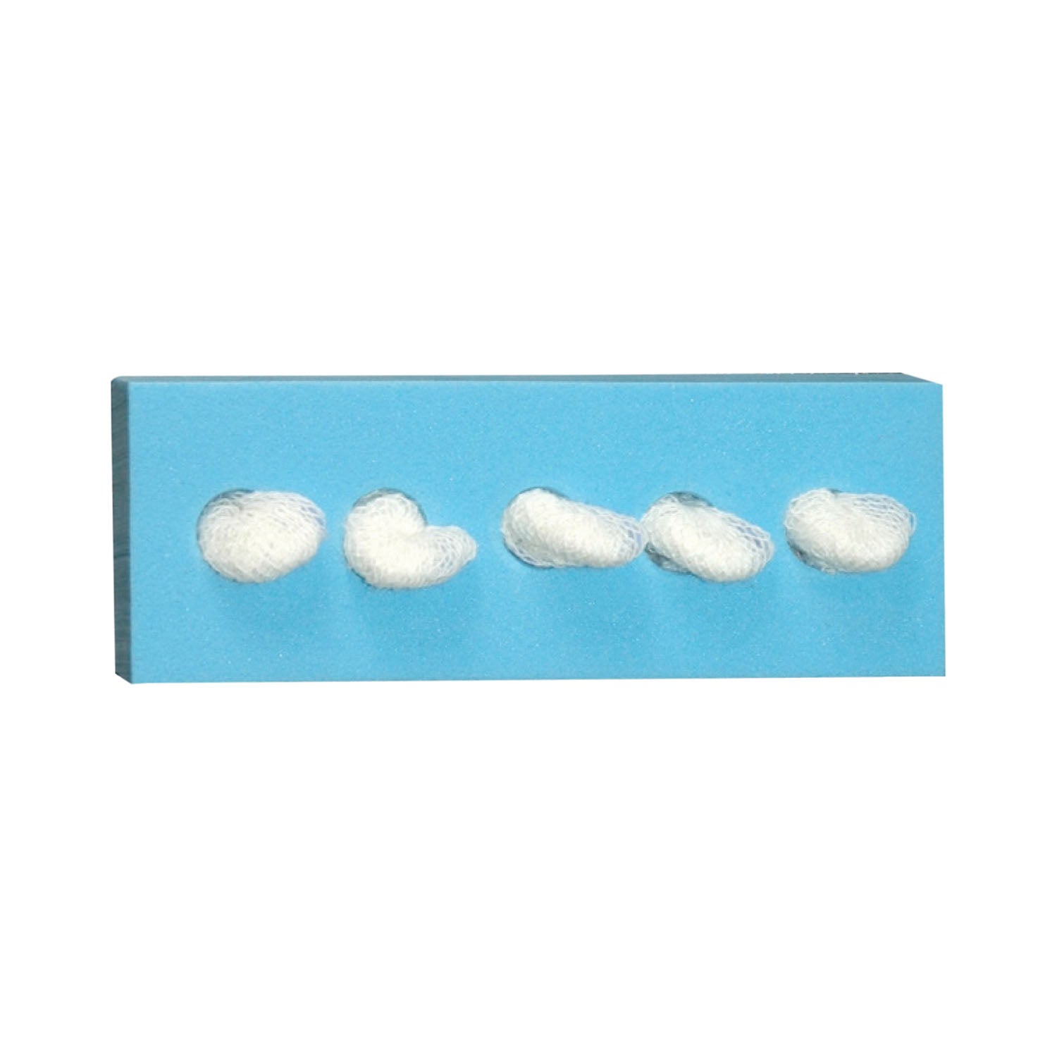 NUTRAMAX DISSECTING SPONGES