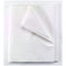 TIDI ALL TISSUE PATIENT DRAPE SHEET