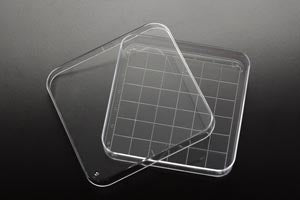 SIMPORT PETRI DISH