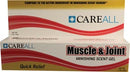 NEW WORLD IMPORTS CAREALL® MUSCLE & JOINT GEL