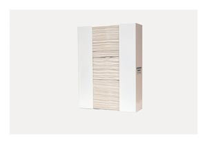 BOWMAN TOWEL DISPENSER
