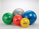 HYGENIC/THERA-BAND PRO SERIES SCP™ EXERCISE BALLS